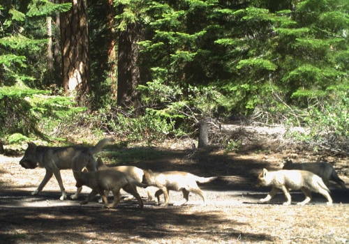 The Role of Political Parties in Deschutes County, Oregon